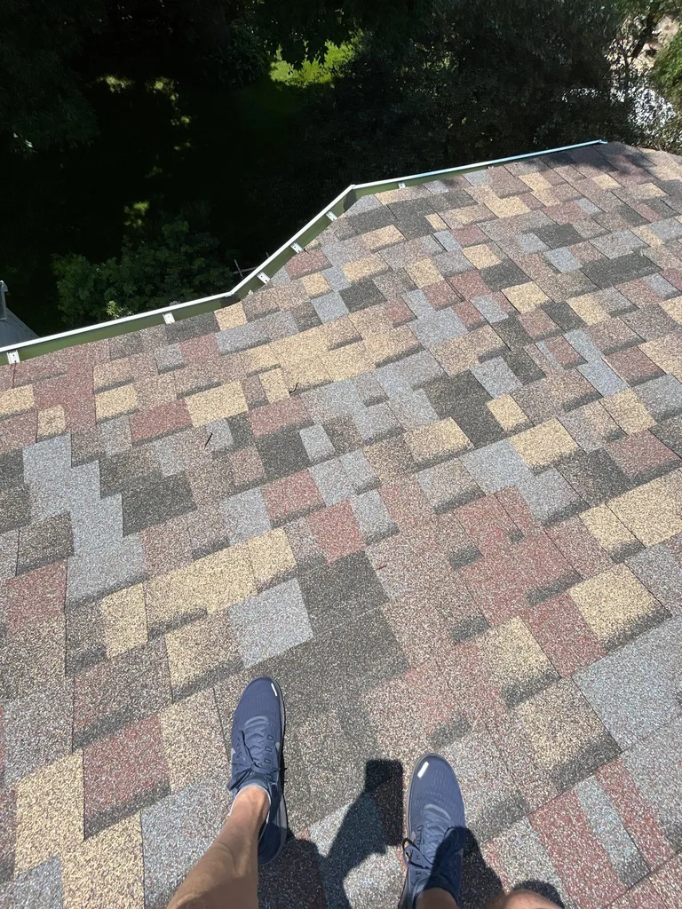Elevate Your Home with Expert Roof Replacement in Hopkins
