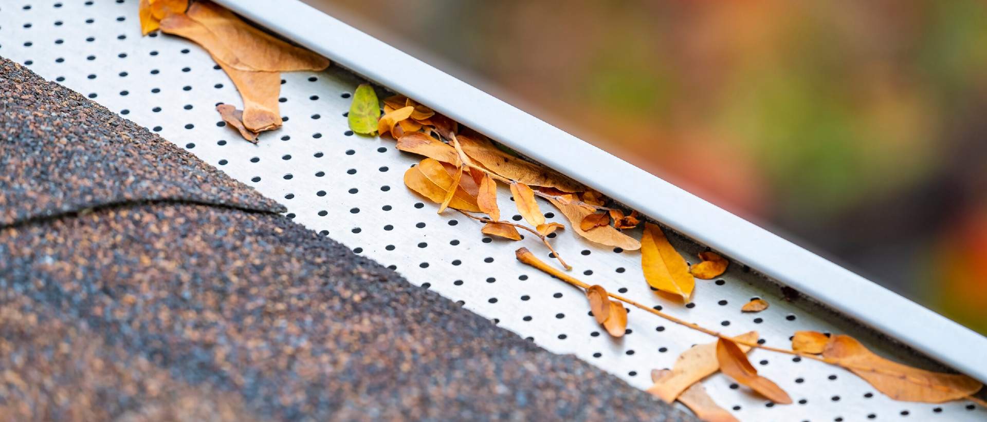 Gutter guard over a roof-edge gutter, keeping fall leaves out