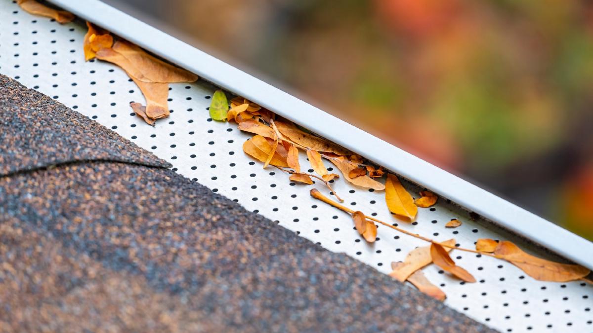 Gutter guard over a roof-edge gutter, keeping fall leaves out