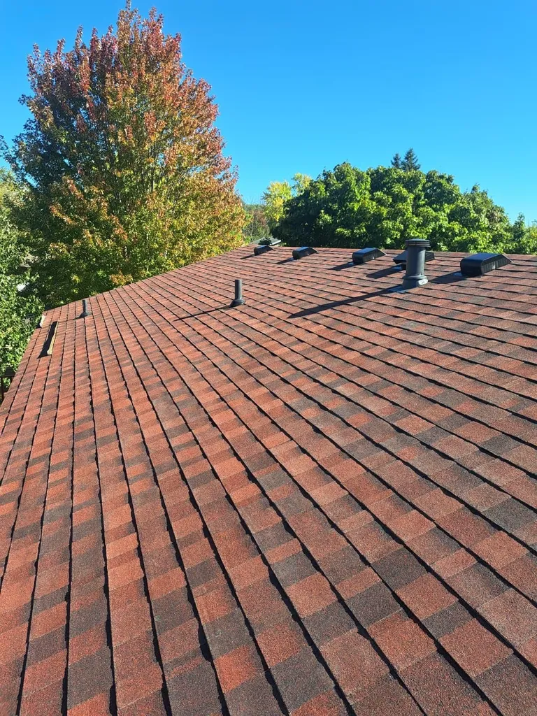 Omega Exteriors Roof Replacement in Zumbrota