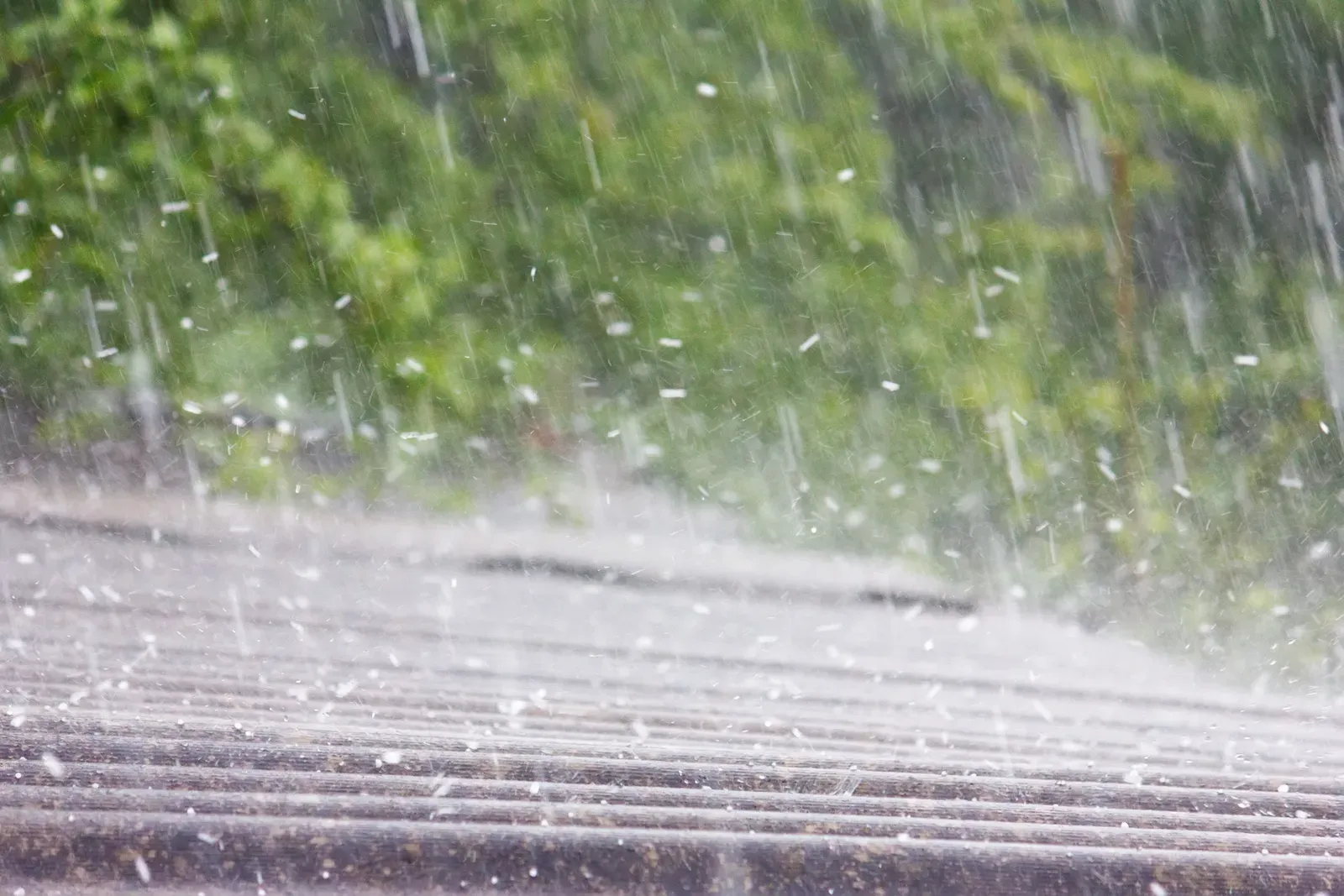 Residential asphalt roof showing storm damage with missing shingles and visible leaks. | Omega Exteriors