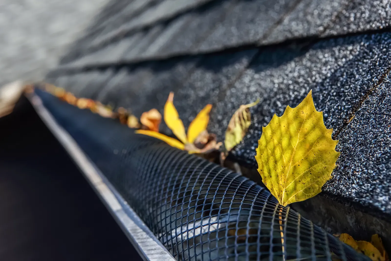 "Residential gutter installation and repair with guards, showcasing a hero-approved service." | Omega Exteriors